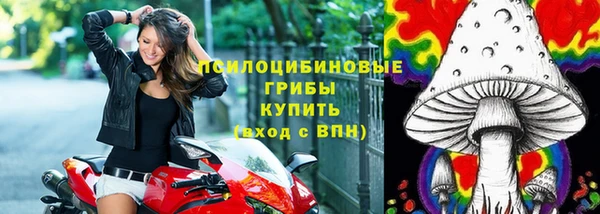 ешки Алзамай