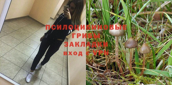 кокаин Алексеевка