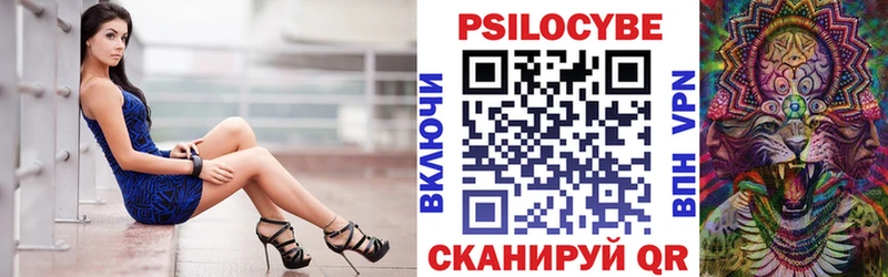 Купить закладки  Городище  Псилоцибиновые грибы Psilocybe 